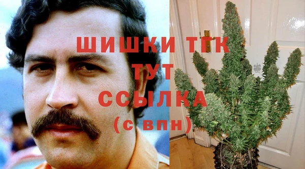 шишки Медвежьегорск