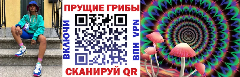 цена наркотик  Отрадное  OMG ссылки  Галлюциногенные грибы ЛСД 