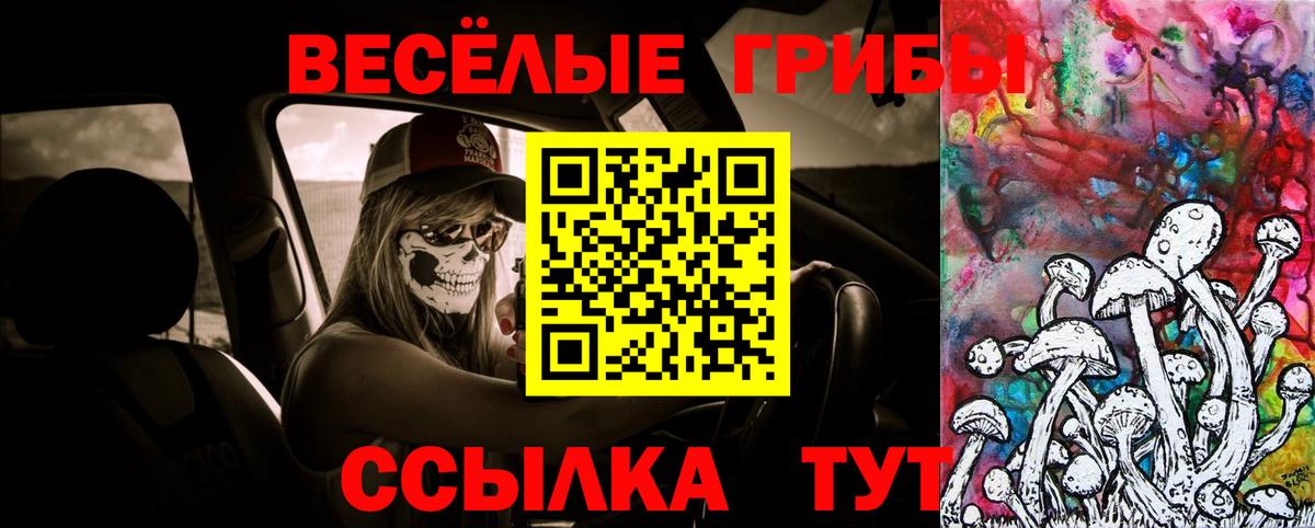 где можно купить   Отрадное  Галлюциногенные грибы MAGIC MUSHROOMS 