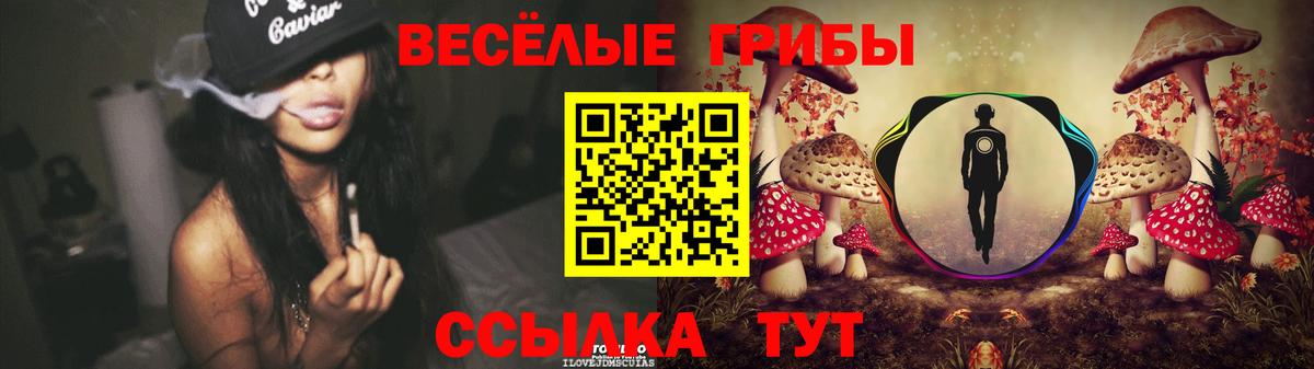 Отрадное  Псилоцибиновые грибы Psilocybe  Вход с VPN 